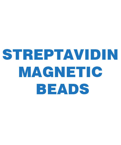 Streptavidin Magnetic Beads